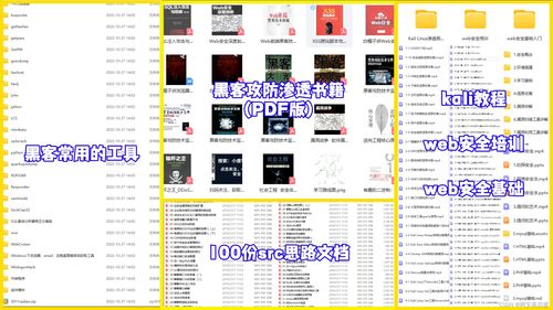 紅隊(duì)攻防網(wǎng)絡(luò)安全自學(xué)路線 從計(jì)算機(jī)軟硬件基礎(chǔ)入門到專業(yè)實(shí)戰(zhàn)